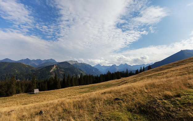 Gebirgsgrüne Talbachlandschaft