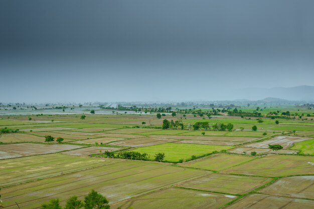 Gebirgsgrünes Feld szenisch schön