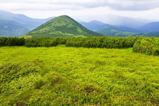 Gebirgslandschaft