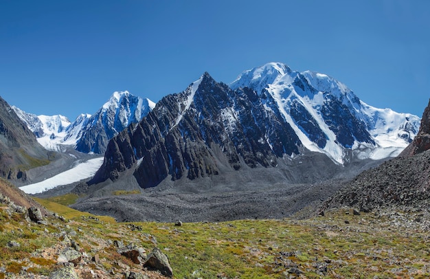 Gebirgslose Baumlandschaft mit Gletschern und felsigen Gipfeln