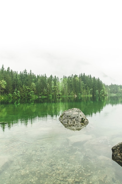 Gebirgssee-nebeliger Morgen