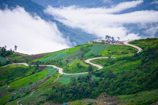 Gebirgsstraße bei (Phu tubberk) im Nationalpark Phu Hin Rong Kla