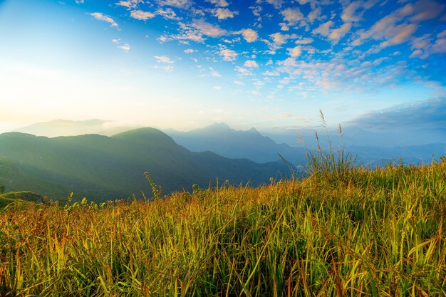 Gebirgstal bei Sonnenaufgang Natürliche SommerlandschaftSchöne Berge und Himmel in Thailand