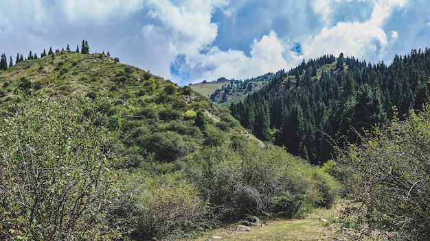 Gebirgstalpanorama im Sommer.