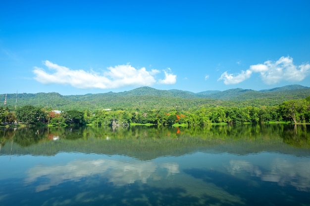 Gebirgszugwald mit dem blauen Himmel des Reservoirs in Ang Kaew Chiang Mai University, Thaila