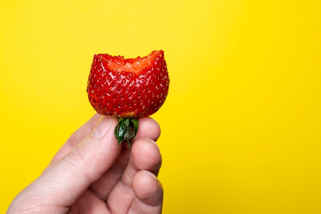 Gebissene reife rote appetitanregende Erdbeere in der Hand auf einem hellen gelben Hintergrund