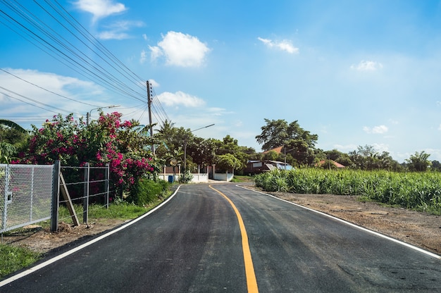 Gebogene Asphaltstraße durch Zuckerrohrplantage und blauer Himmel auf der Landstraße