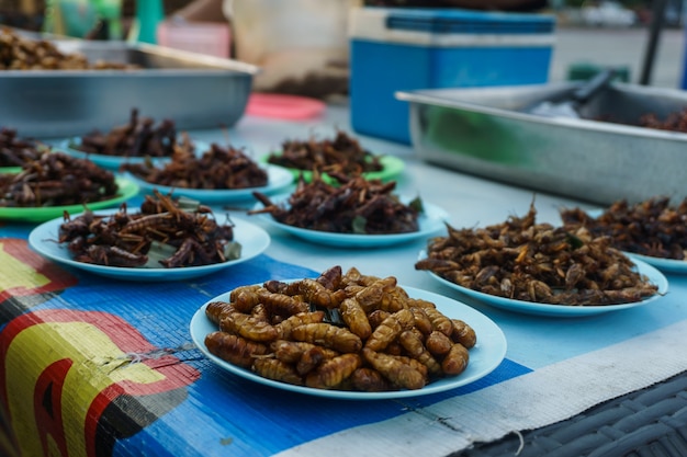 Gebratene Insekten, gebratene Käfer auf Streetfood in Thailand