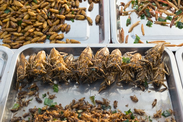 Gebratene Insekten verschiedene Arten ist das Essen ist leicht in Thailand zu finden.