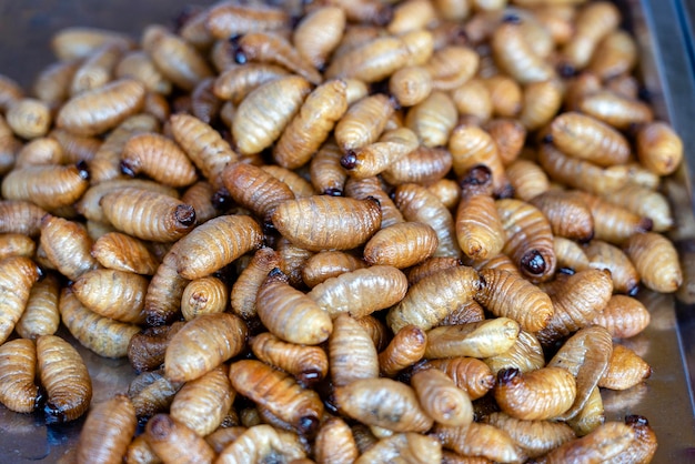 Gebratene Seidenraupen köstlich in Street Food in Thailand Nahaufnahme