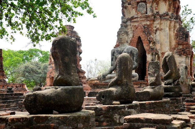 Gebrochene Buddha-Statue und altes Gebäude im Wat Mahathat in Ayutthaya Thailand