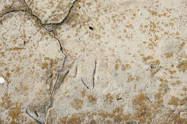 Gebrochener konkreter Hintergrund