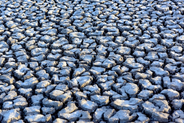 Gebrochener trockener Boden in einer Pampa-Lagune Provinz La Pampa Patagonien Argentinien