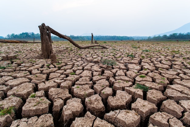 Gebrochenes trockenes Land ohne Wasser. Abstrakter Hintergrund.