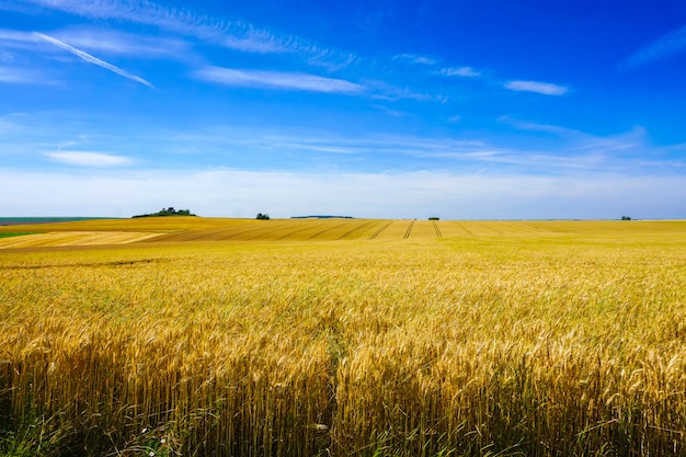 Geerntete Ansicht des Feldes und des grünen Hügels an einem sonnigen Tag in Frankreich