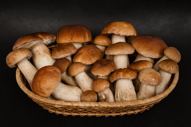 Geerntete Steinpilze im Weidenkorb zum Kochen bereit