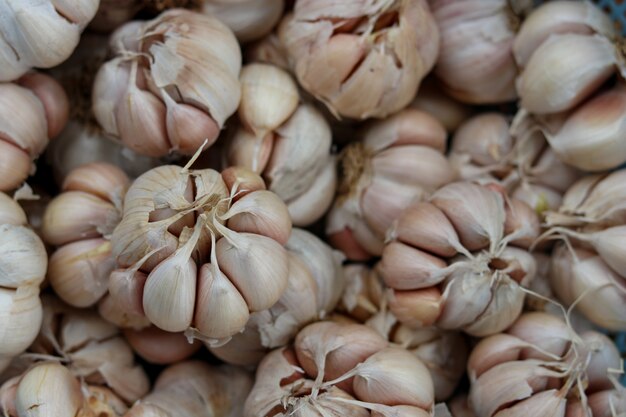 Geernteter Knoblauch im Behälter