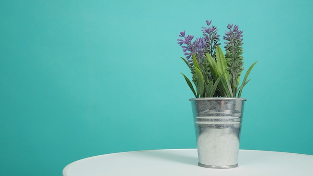 Gefälschter Lavendel oder künstliche Topfpflanze auf weißem Schreibtisch mit Mintgrün oder Tiffany Blue Hintergrund.