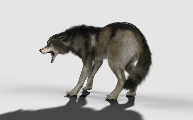 Gefahr Wolf Tier