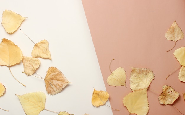 Gefallene Herbstblätter auf einem beigen Tisch. Draufsicht. Minimalismus. Kreativer Kopierbereich