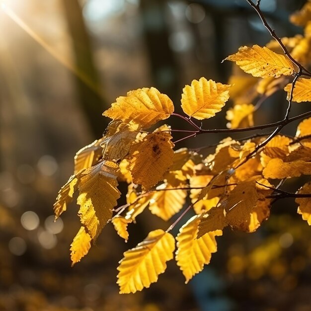 Gefallenes Herbstlaub auf dem Boden