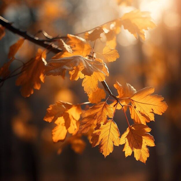 Gefallenes Herbstlaub auf dem Boden