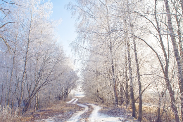 Gefrorene Bäume auf Winterstraße und blauem Himmel an einem sonnigen Tag