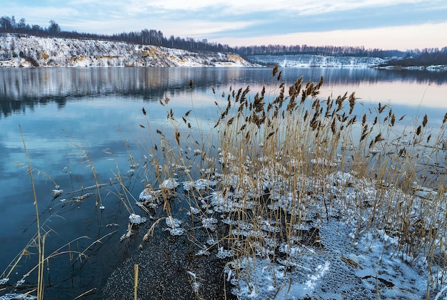 Gefrorene Eismuster aus Wasser in den Schilfbüschen am Ufer des Stausees