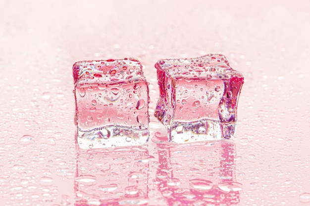 Gefrorene Eiswürfel auf nassem Rosa