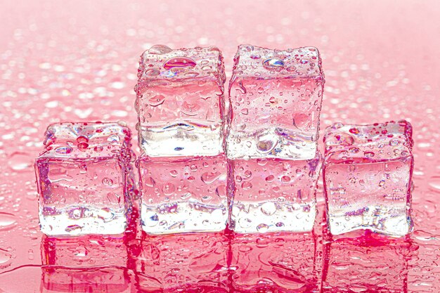 Gefrorene Eiswürfel auf nassem Rosa