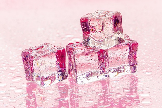 Gefrorene Eiswürfel auf nassem Rosa