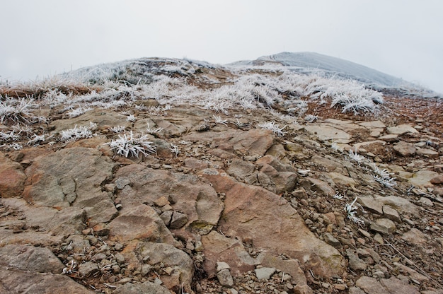 Gefrorene felsige Steine an den Schneebergen mit Frostgras und -nebel auf die Oberseite