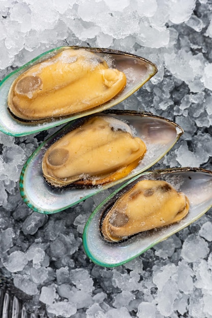 gefrorene Meeresfrüchte in einem Fischgeschäft