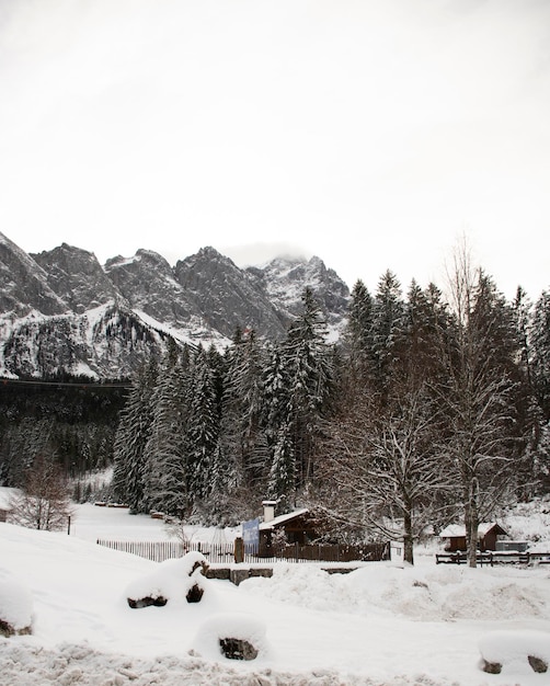 Gefrorene Waldlandschaft mit europäischen Alpen und Bergen mit Schnee im Hintergrund und typischen deutschen Holzhäusern