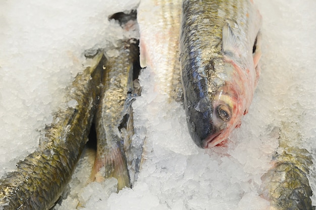 Gefrorener Fisch und Meeresfrüchte auf Eis