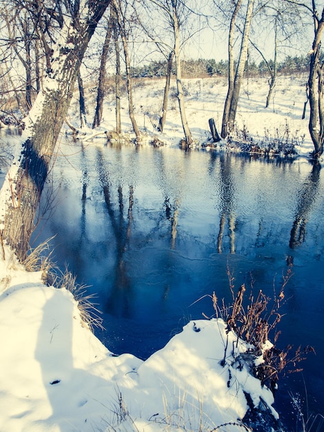 Gefrorener Fluss und Wald an sonnigen Tagen mit Schnee bedeckt