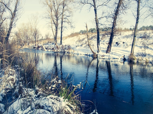 Gefrorener Fluss und Wald an sonnigen Tagen mit Schnee bedeckt