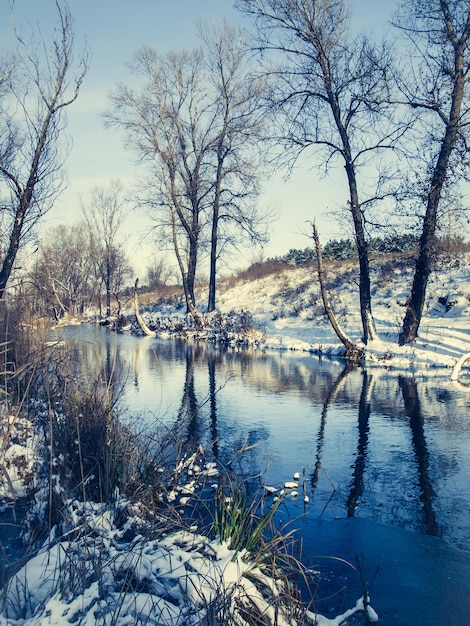 Gefrorener Fluss und Wald an sonnigen Tagen mit Schnee bedeckt