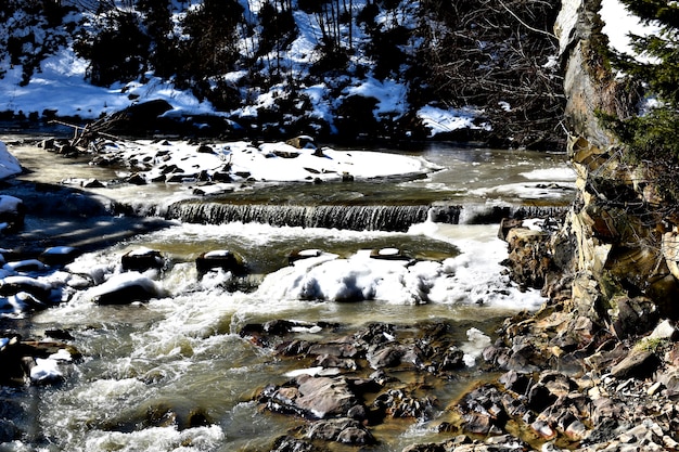 Gefrorener Nebenfluss im Wald