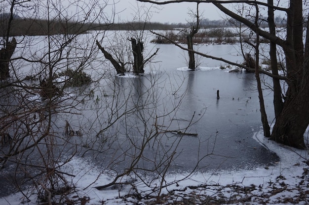 Gefrorener Sumpf im Winter Kolobrzeg Podczele Polen