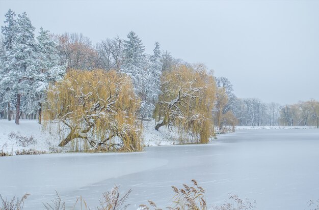 Gefrorener Wintersee. Winterlandschaft mit See mit Eis bedeckt