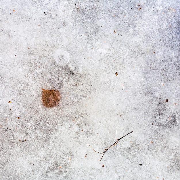 Gefrorenes Blatt im Eis am kalten Wintertag