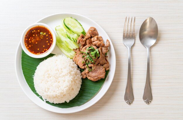 Gegrillter Schweinefleischknoblauch mit Reis mit würziger Sauce nach asiatischer Art