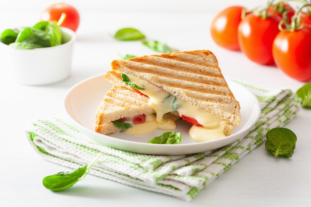 Gegrilltes Käse-Tomaten-Sandwich auf weißem Hintergrund