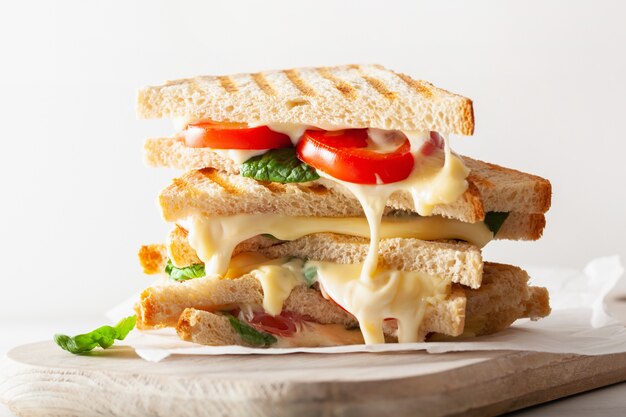 Gegrilltes Käse-Tomaten-Sandwich auf weißem Hintergrund