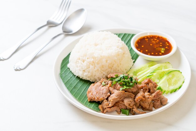Gegrilltes Schweinefleisch mit Knoblauch und Reis mit würziger Sauce nach asiatischer Art