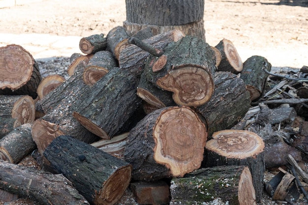 Gehackte Holzkeile Haufen geernteten Holzes