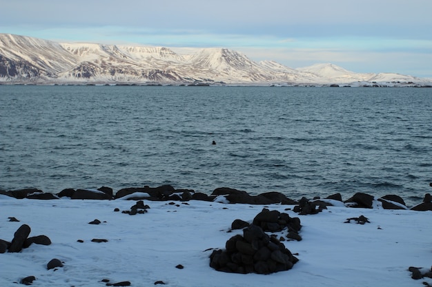 geheimnisvolles und schönes Island