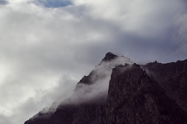 Gehen Sie zu Fuß durch die Gebirgstäler. Die Schönheit der Tierwelt. Altai