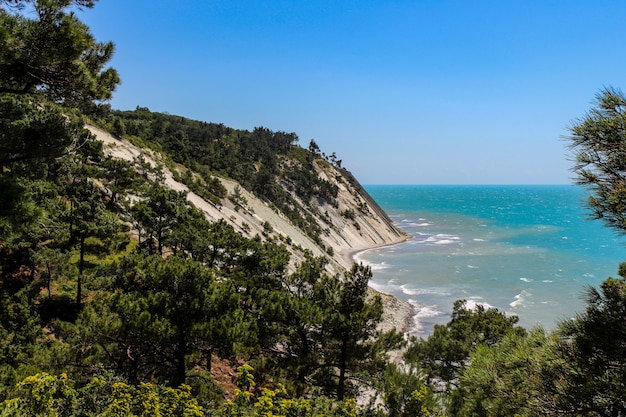 Gehen Sie zum Meer durch den Wald